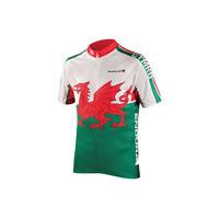 Endura CoolMax Printed Wales II Short Sleeve Jersey | White/Green - L