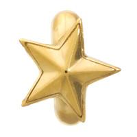 Endless Jewellery Charm Rising Star Gold
