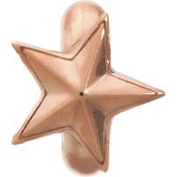 Endless Jewellery Charm Rising Star Rose Gold