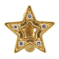 Endless Jewellery Charms Shining Star Yellow Gold