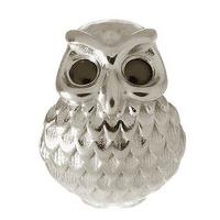 Endless Jewellery Charm Owl Silver