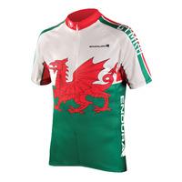 Endura - Coolmax National Flag Jersey Wales 2 SM