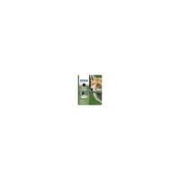 Epson T1281 Original Black Cartridge 5.9ml