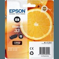 Epson 33 (T3341) Original Photo Black Ink Cartridge