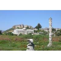 ephesus basilica temples and museums tour with private guide and van