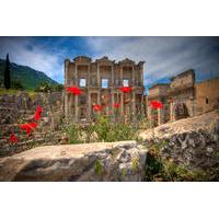 ephesus small group tour from selcuk