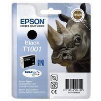 Epson T1001 Black Ink Cartridge