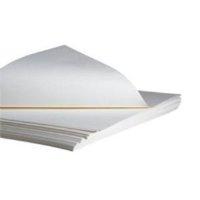 Epson Semigloss Posterboard 840gm - B1