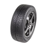 EP Tyres Accelera Snow X-Grip 205/55 R16 91H