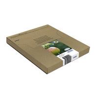 epson t1295 multi pack mailer inkjet cartridge