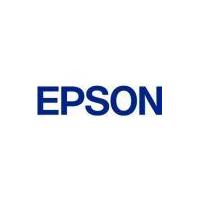 Epson S091003 Original Ozone Filter