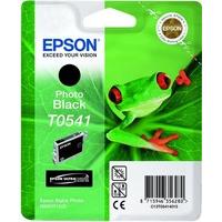 Epson Original Ink Cartridge T0541 Photo Black