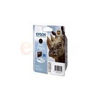 Epson T1001 25.9ml Black Ink Cartridge 995 Pages