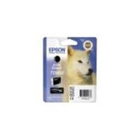 Epson Stylus R2880 Matte Black