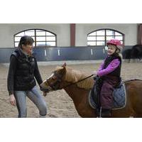 equestrian complex tour with horse back riding and light brunch