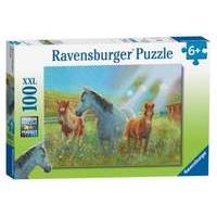 Equine Pasture XXL 100