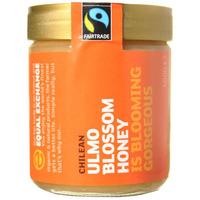 Equal Exchange Chilean Ulmo Blossom Honey 500g