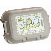 Erzi 6 white eggs in a box