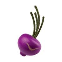 Erzi Turnip, purple