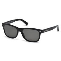Ermenegildo Zegna Sunglasses EZ0001 With Clip-On Polarized 01D