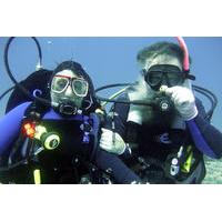 Espiritu Santos Island 2-Tank Di...