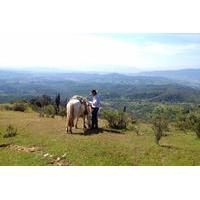 escape santiago horseback ride with barbecue in the hills