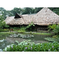 Esquinas Rainforest Lodge