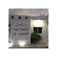 Estudios la Catrina 2