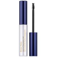 estee lauder brow now stay in place clear 17ml