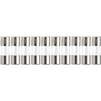 ESKA 515.317 Quick Blow Glass Tube Fine Fuse 1A 250V Pack of 10