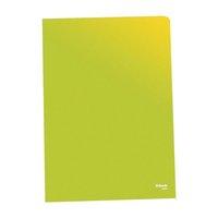 Esselte (A4) Copy-safe Folder Plastic Cut Flush Green (1 x Pack of 100)