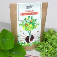 Espresso Mushroom Company Hot Leaf Salad Seedbombs