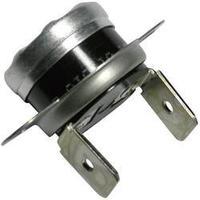 ESKA 36TXE21-611910 Temperature Switch