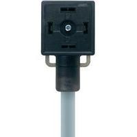 Escha 8047823 VA21-230.0-5/P01 Black