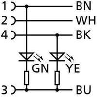 Escha 8045238 AL-WWAK4P2-5/S370