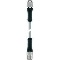 Escha 8047925 BL-WAK4.5-5-BL-WAS4.5/P00