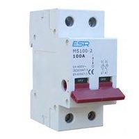 ESR 100 Amp Mains Switch 2 Pole Module Domestic Consumer Unit