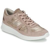 Esprit LUNE LACE UP women\'s Shoes (Trainers) in gold