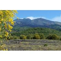 Etna Nature and Flavors Half-Day...