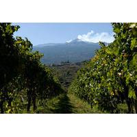 Etna and Wine Tour from Catania