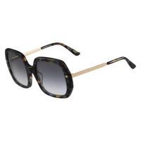 Etro Sunglasses ET 634S 239