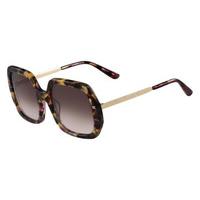 Etro Sunglasses ET 634S 240