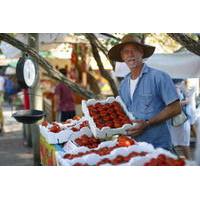 Eumundi Markets Round-Trip Shuttle