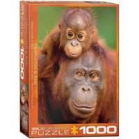 Eurographics - Orangutan And Baby Puzzle - 1000 Pc