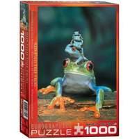 eurographics red eyed tree frog puzzle 1000 pc
