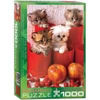 Eurographics - Kittens In A Pot Puzzle - 1000 Pc
