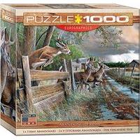 Eurographics Puzzle 1000pc - Abandoned Farm (8x8 Box) (mo)