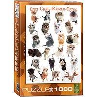 Eurographics Puzzle 1000pc - Cat...