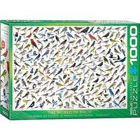 Eurographics Puzzle 1000pc - The World Of Birds - By Sibley