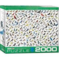 Eurographics Puzzle 2000pc - The World Of Birds, By Sibley